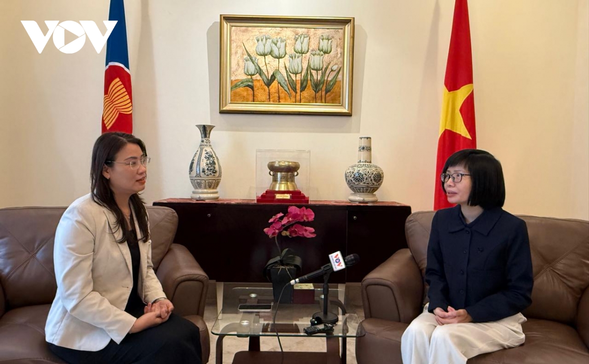 viet nam dong gop thuc chat giup asean ung pho voi thach thuc hinh anh 1
