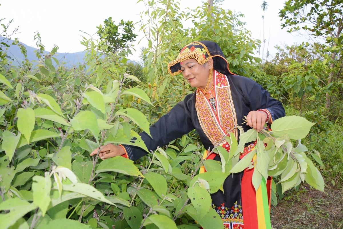 xa vung cao tay yen tu, bac ninh phat trien du lich cong dong tu ban sac nguoi dao hinh anh 1