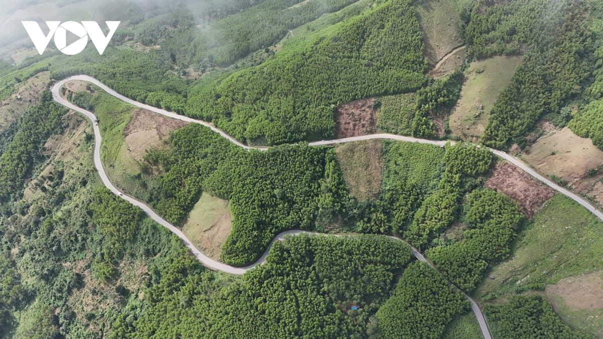 canh bao mat an toan giao thong tren deo vi O lac sau nhieu vu tai nan hinh anh 10