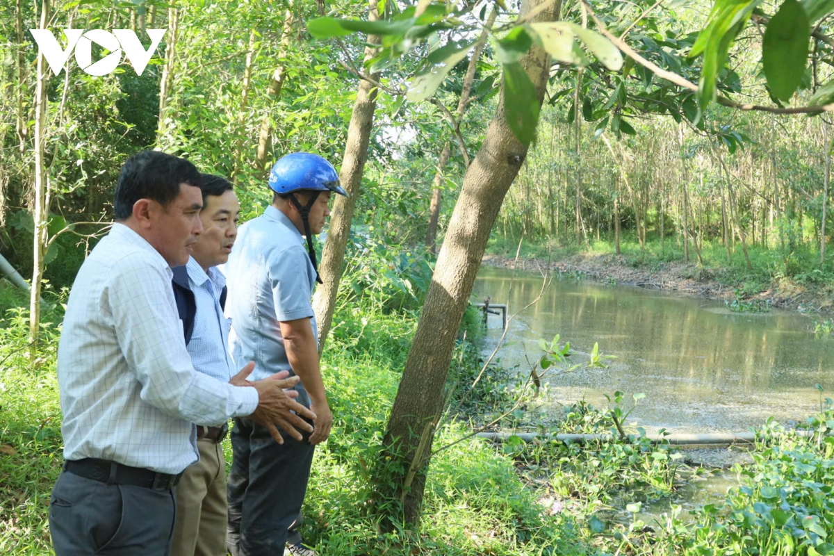 kenh son tinh den kit, boc mui lanh dao tinh chi dao khan hinh anh 6