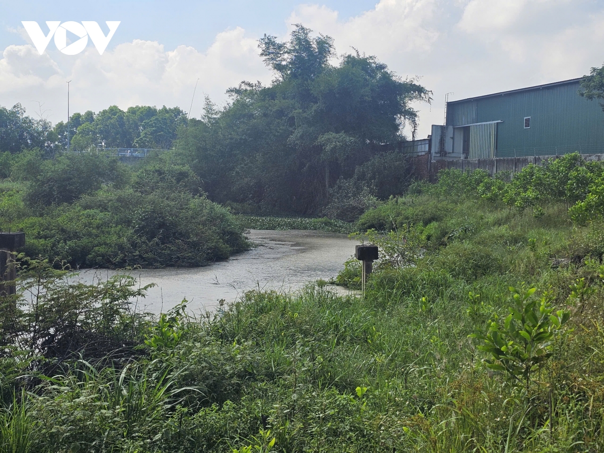 kenh son tinh den kit, boc mui lanh dao tinh chi dao khan hinh anh 5