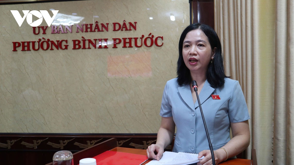cu tri Dong nai kien nghi go du an treo va day manh lien thong du lieu hinh anh 2