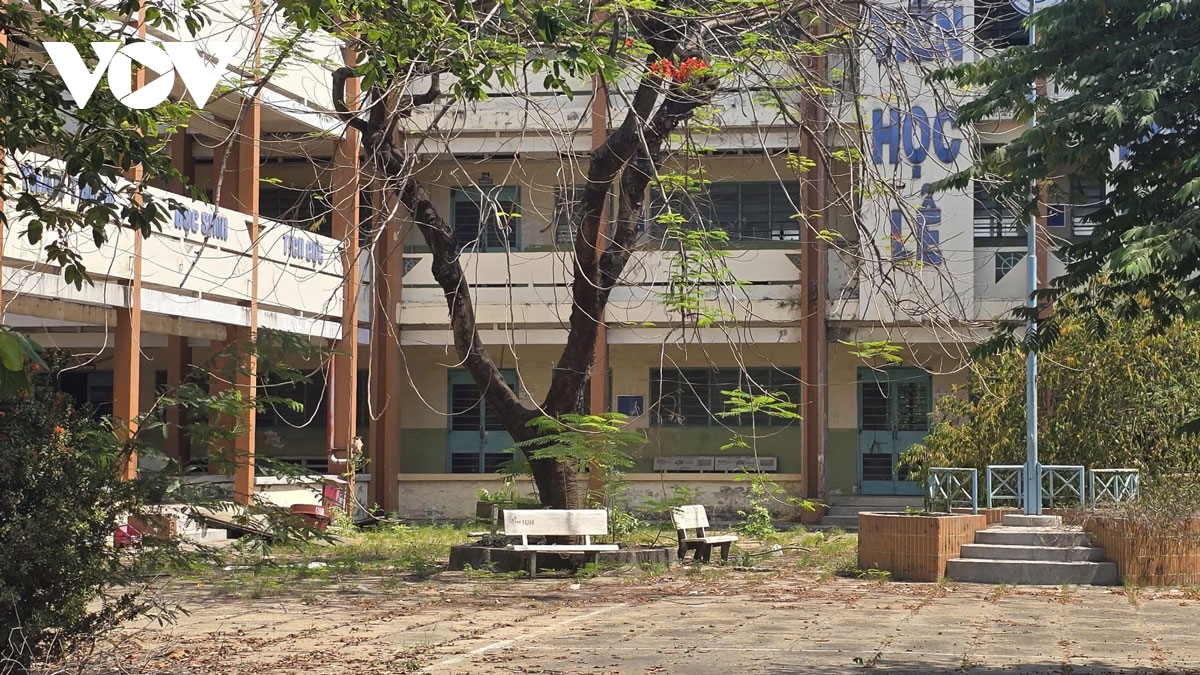 ngoi truong 3 tang o tp.hcm bi bo hoang, co moc um tum hinh anh 3