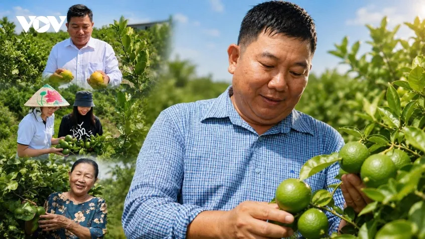 kich hoat thi truong, khoi suc doanh nghiep tu nhan hinh anh 2