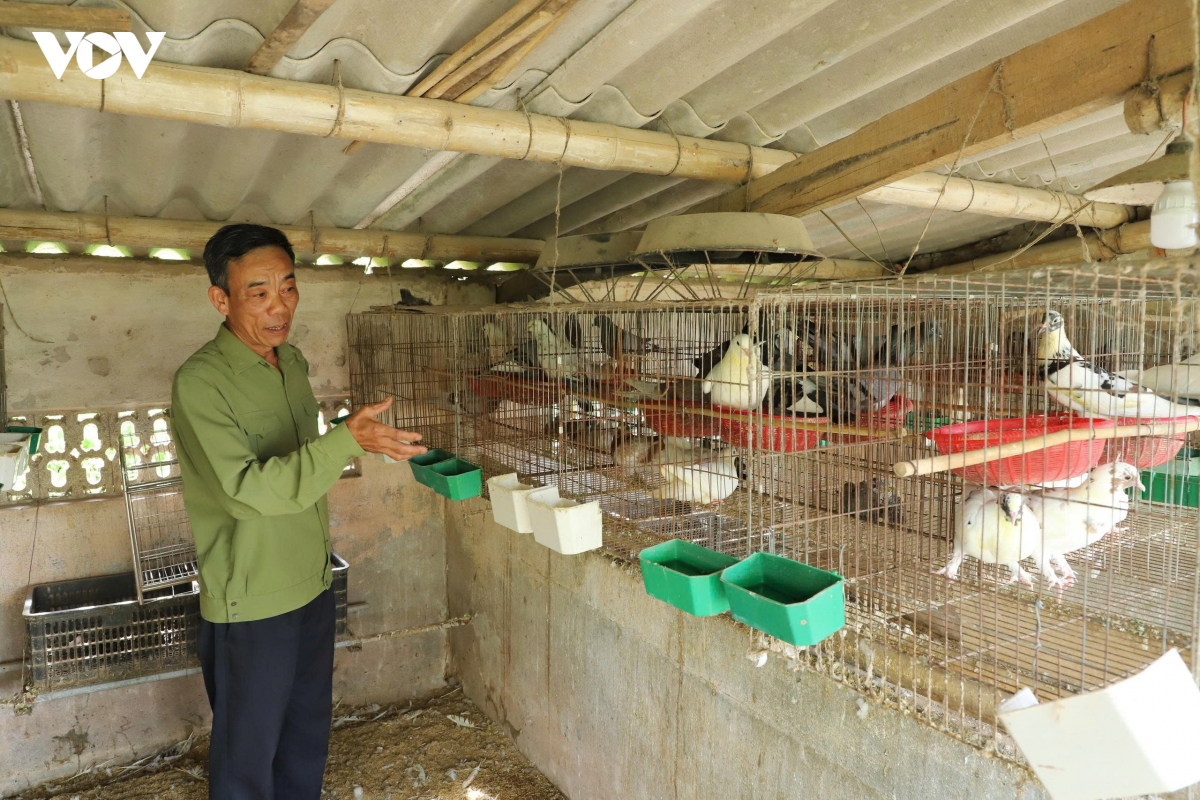 nhung vien gach hong dung xay xu dao giau dep o ninh binh hinh anh 11
