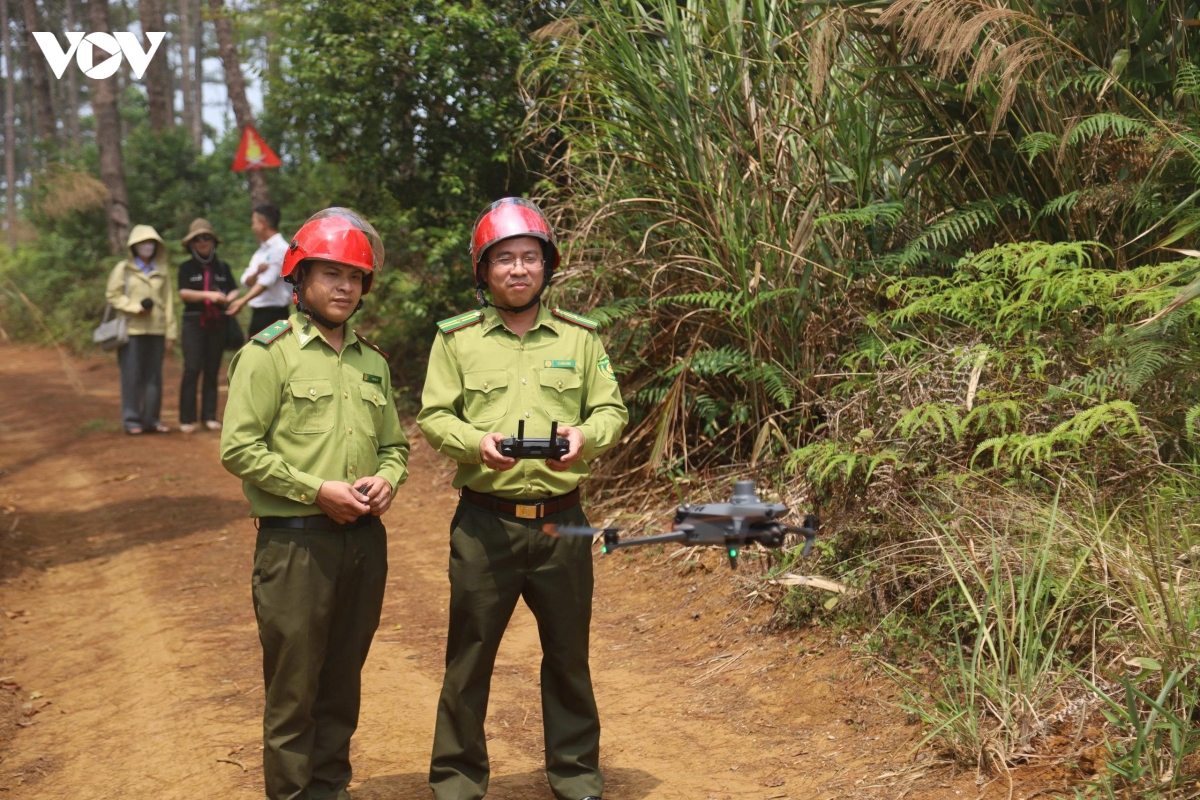 bam rung de giu rung mua kho hinh anh 1
