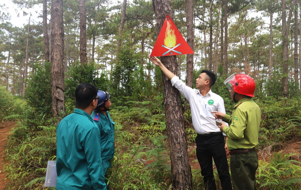 bam rung de giu rung mua kho hinh anh 2