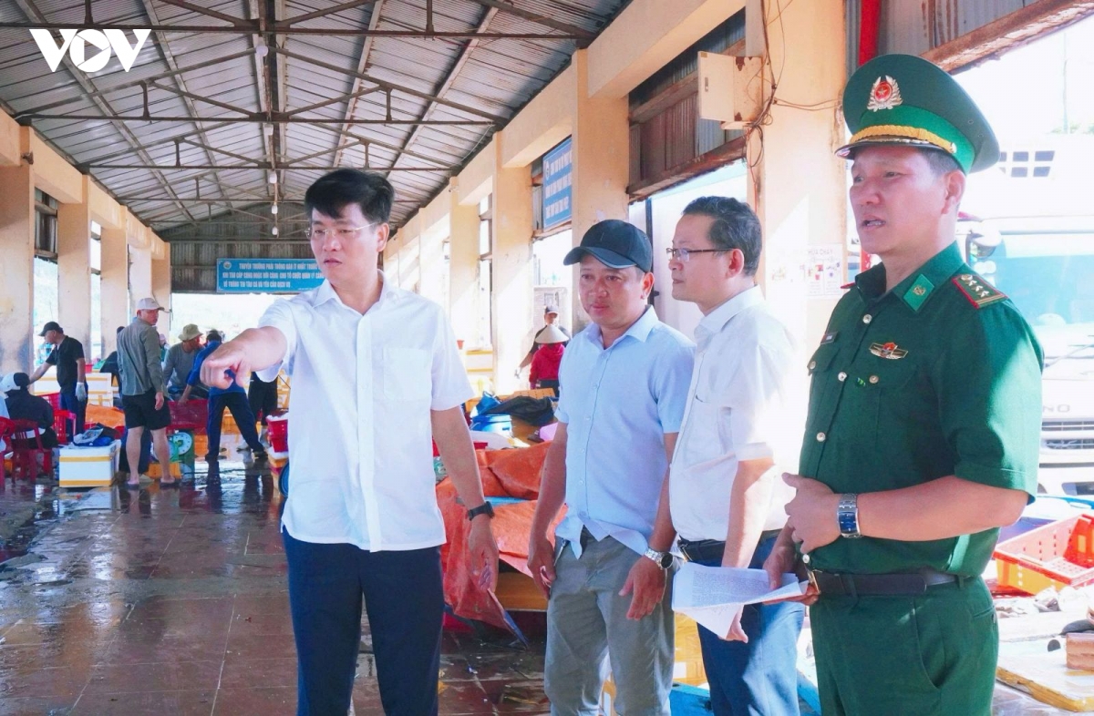 quang ngai chong khai thac iuu theo phuong cham ro nguoi, ro viec, ro trach nhiem hinh anh 1
