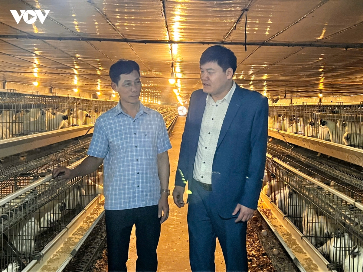 bac ninh tang cuong bao ve gia suc, gia cam, tranh soc nhiet mua nang nong hinh anh 3