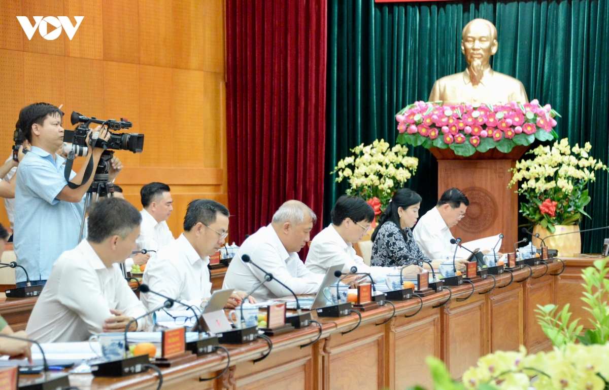 thong qua ket qua kiem tra tai ban thuong vu thanh uy tp ho chi minh hinh anh 4