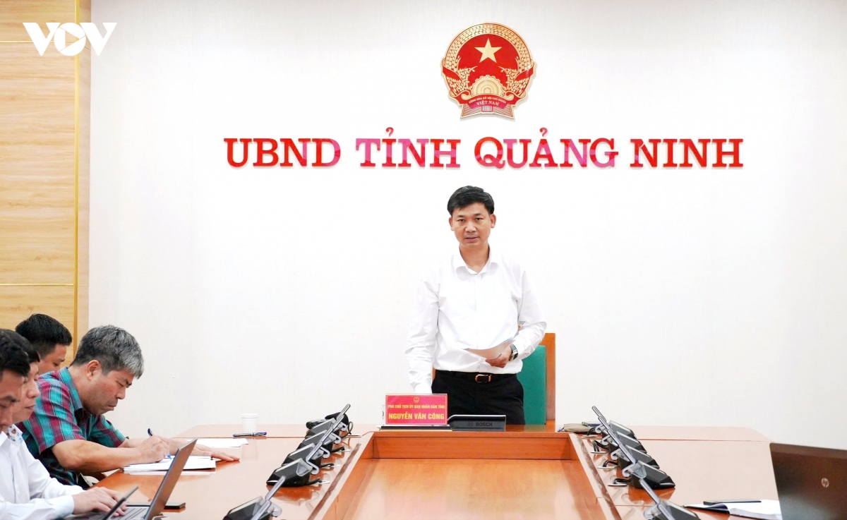 Ung dung radar thoi tiet chuyen dung bao ve an toan tren vinh o quang ninh hinh anh 1