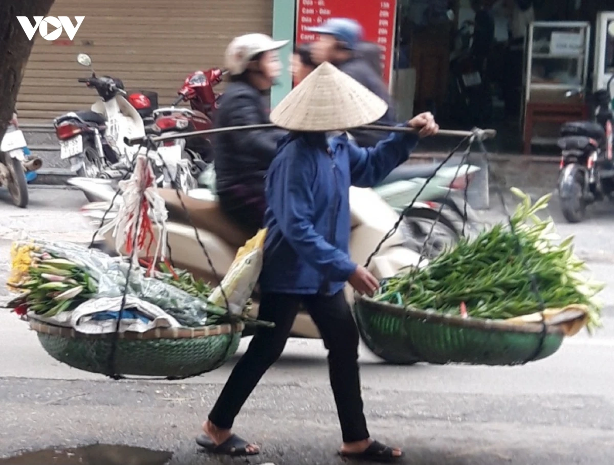 tram nghe khong bang mot thay, kinh te via he gop khong dang ke vao tong cau hinh anh 1