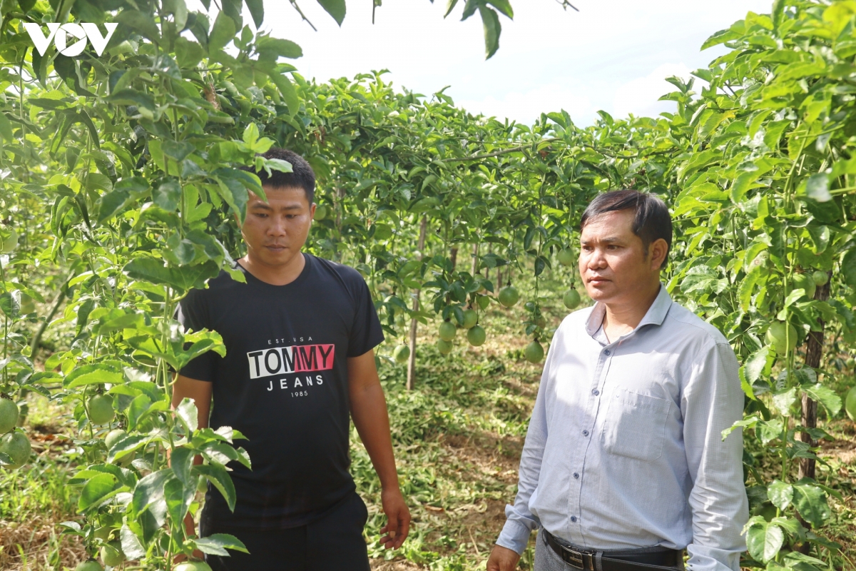 Tiếp sức cho cơ sở, nâng cao năng lực thực thi
