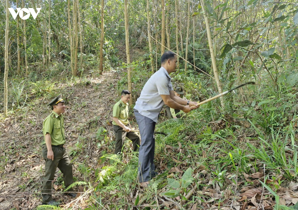 mien nui Da nang chu dong phong chay rung trong cao diem nang nong hinh anh 1