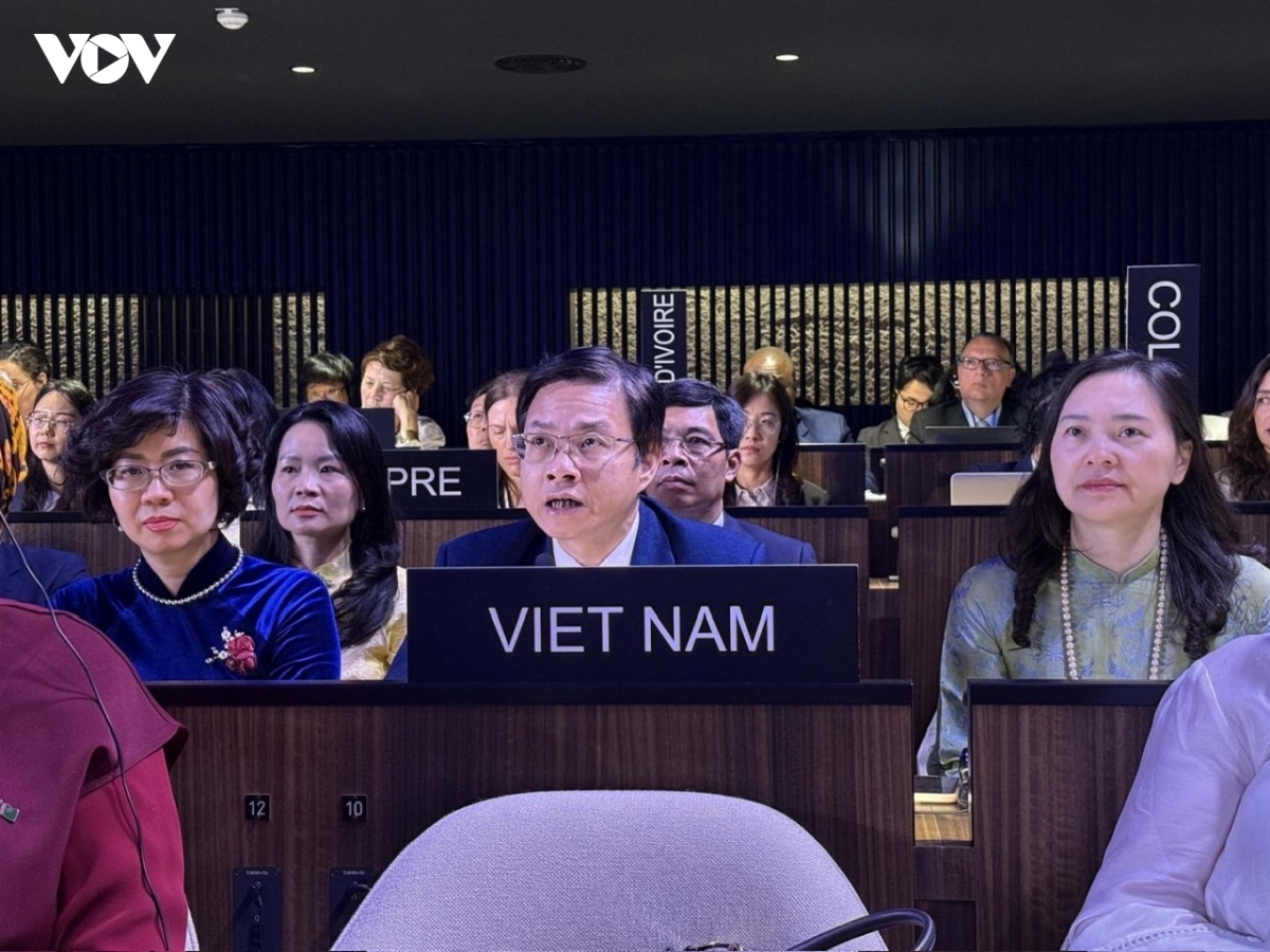 viet nam khang dinh vi the tai Dai hoi dong cong uoc 2003 cua unesco hinh anh 1
