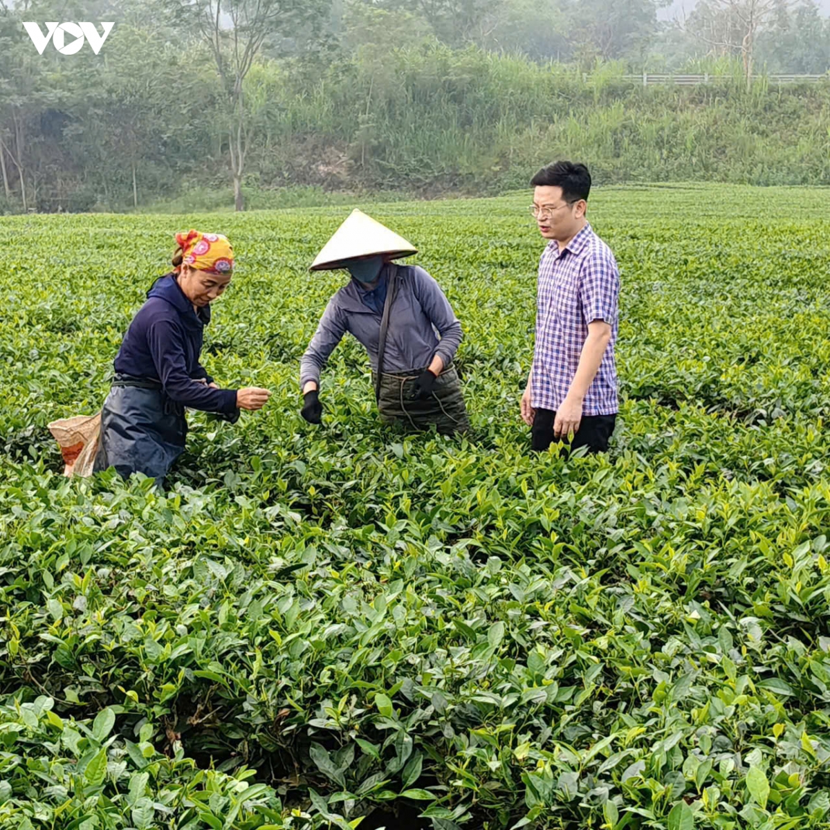 mot xa mien nui o ha tinh dat so thu ngan sach ky luc hinh anh 2