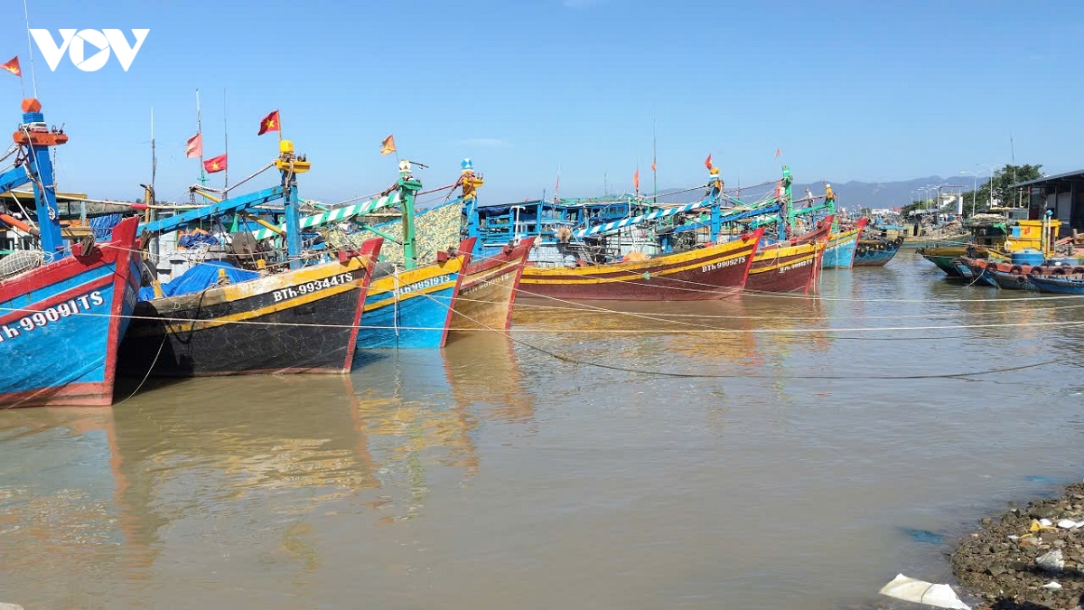 tau ca bi chim tren bien lam Dong, 2 lao dong thoat than an toan hinh anh 1
