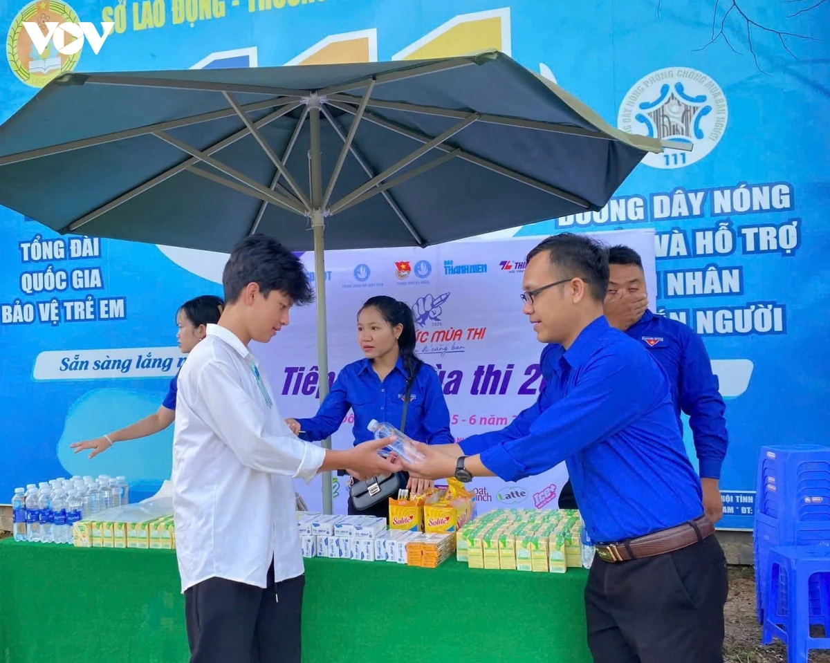 Da nang 300.000 luot doan vien, thanh nien tham gia chien dich tinh nguyen he hinh anh 3