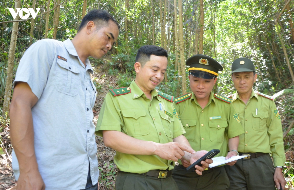 Miền núi Đà Nẵng chủ động phòng cháy rừng trong cao điểm nắng nóng