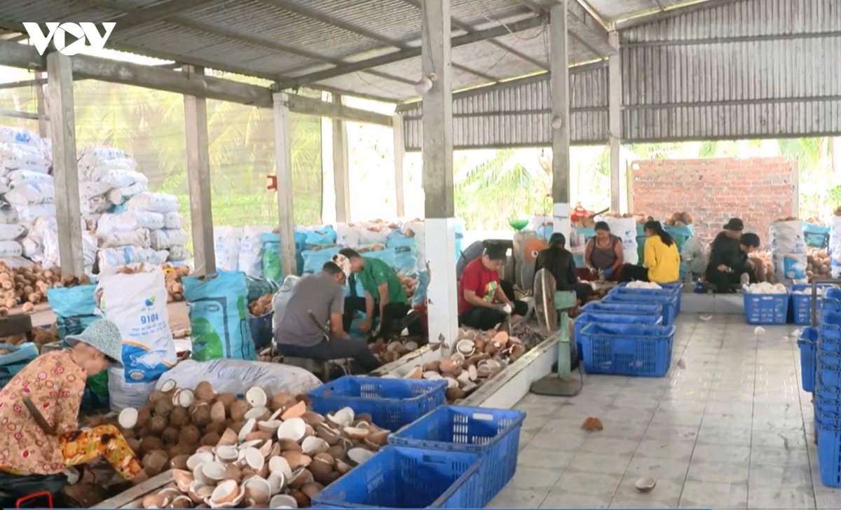 khi nong san vinh long chuyen tu ban nguyen lieu sang ban gia tri hinh anh 3