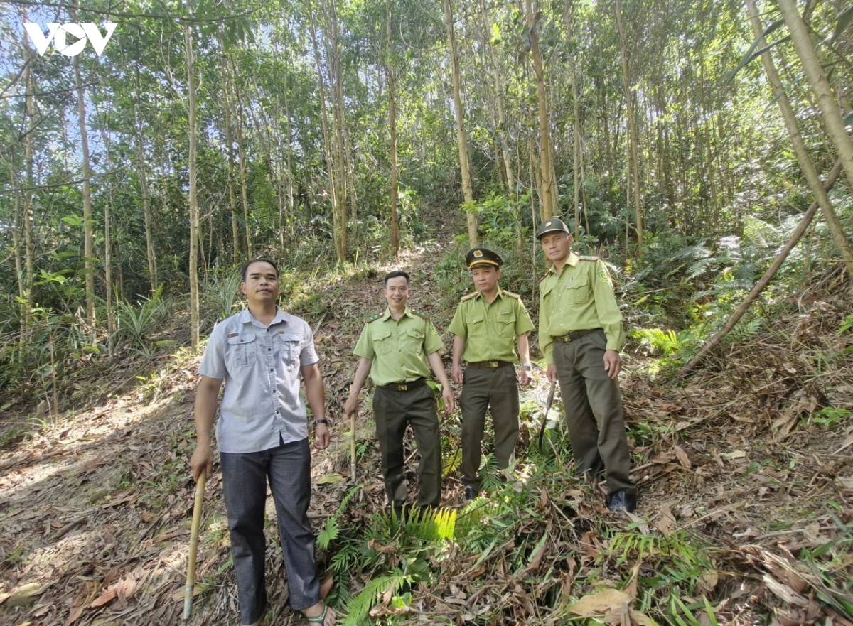 mien nui Da nang chu dong phong chay rung trong cao diem nang nong hinh anh 5