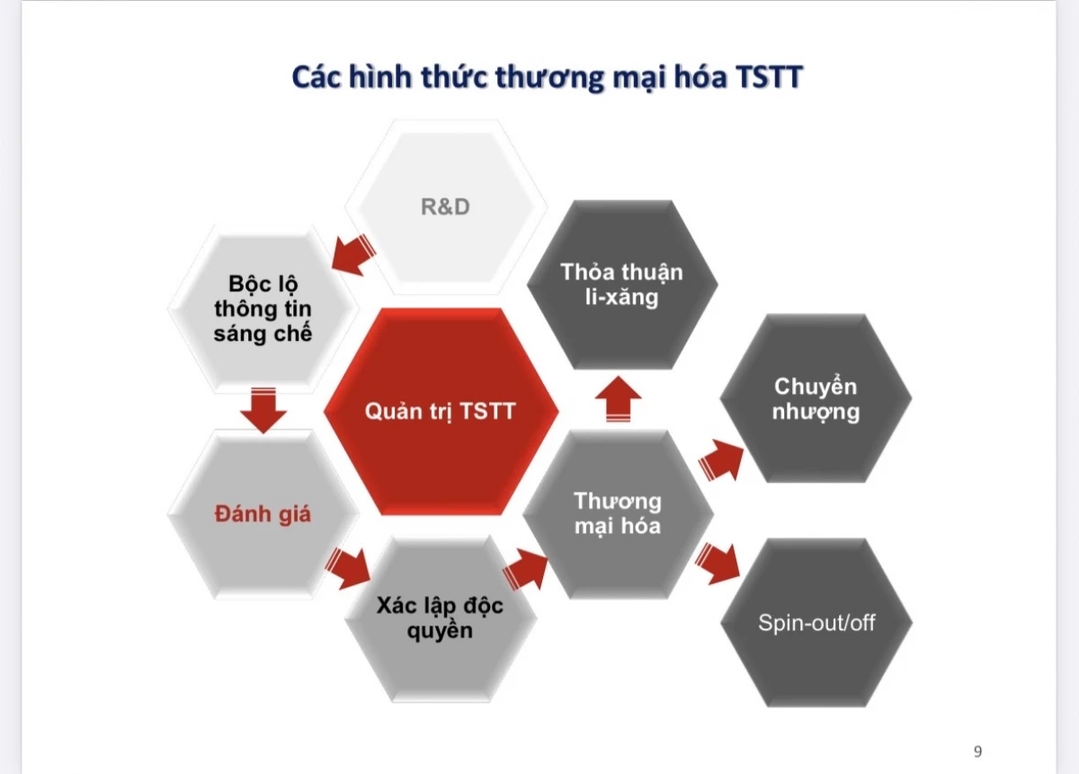 go vuong cho thuong mai hoa ket qua nghien cuu tu truong dai hoc hinh anh 2