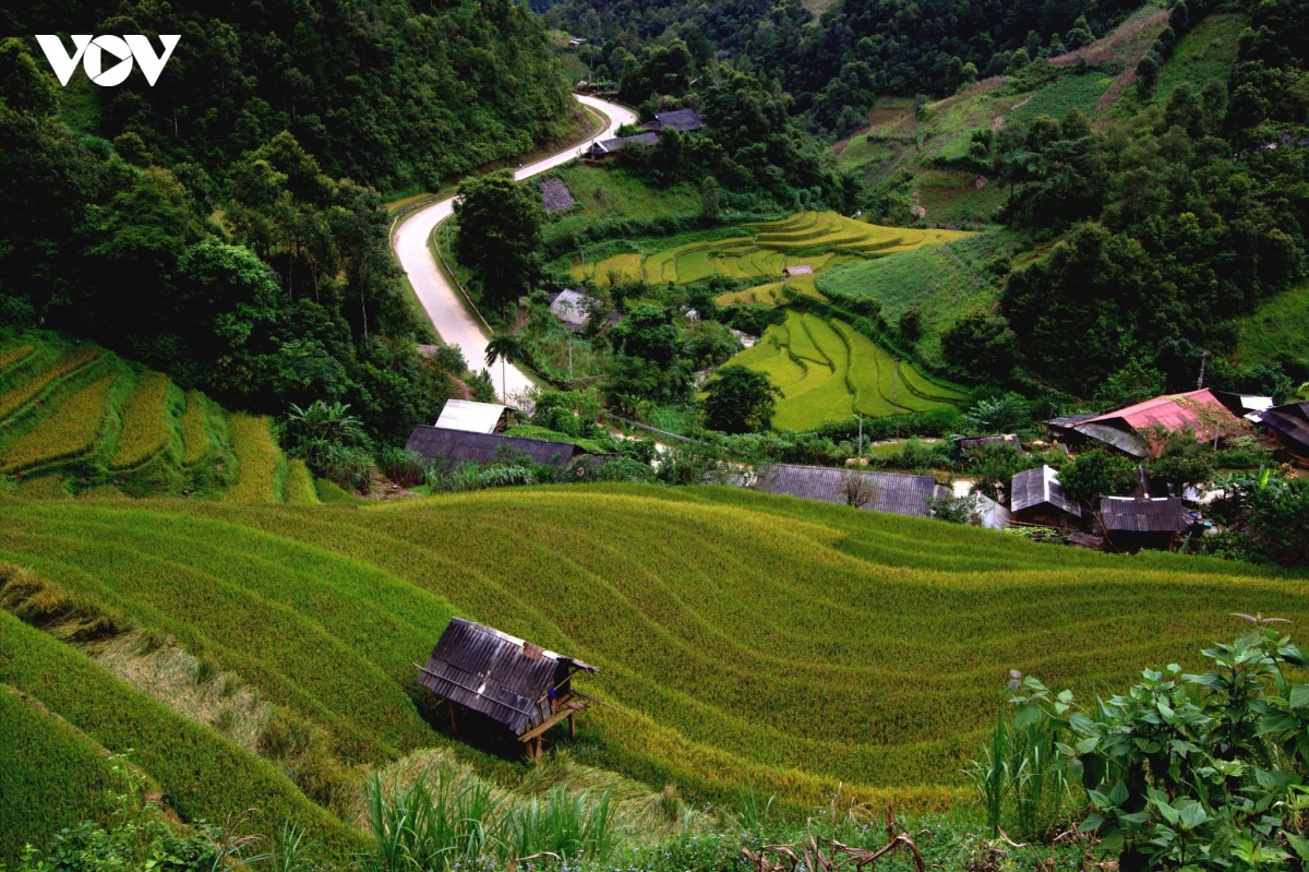 ten ban la ky uc cong dong va di san van hoa, can tran trong khi sap xep lai hinh anh 1
