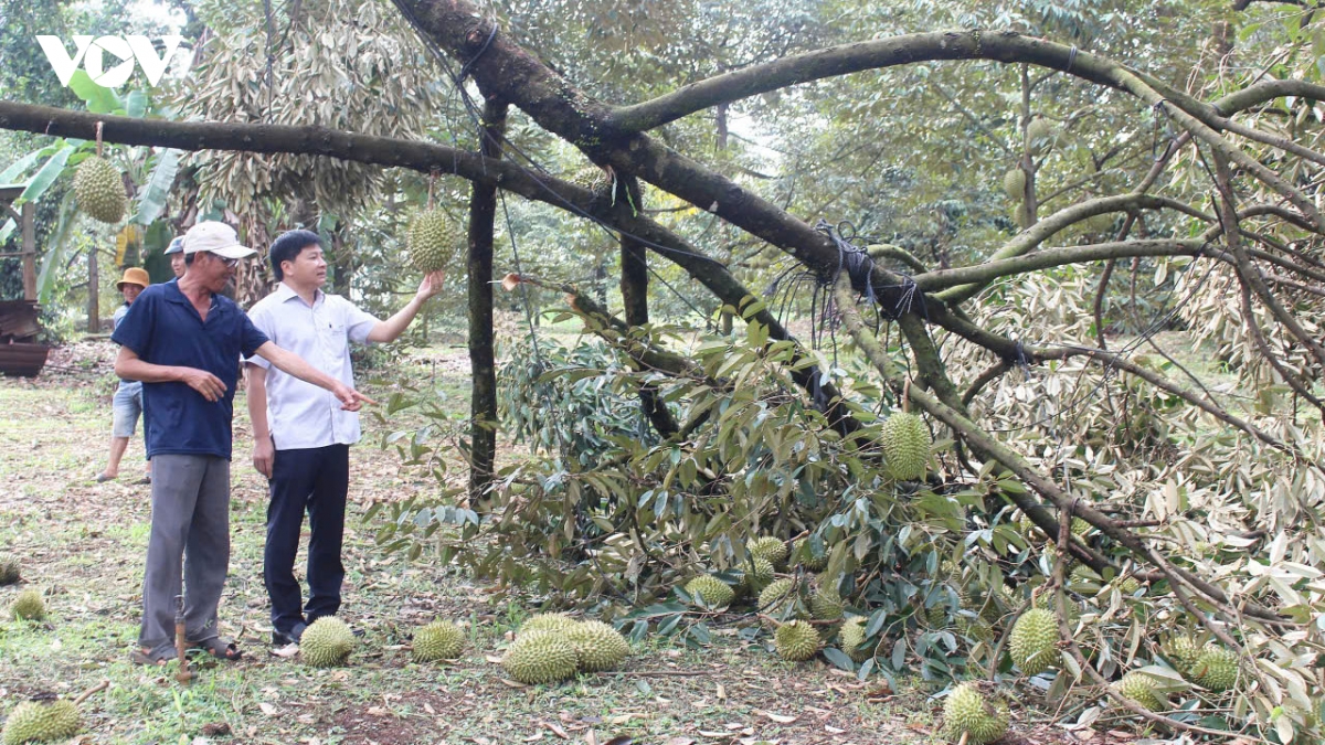 kip thoi ho tro 21 ho dan o Dong nai khac phuc hau qua sau dong loc hinh anh 1