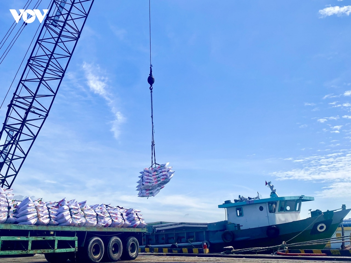 can tho phat trien logistics, huong toi trung tam vung Dbscl hinh anh 3