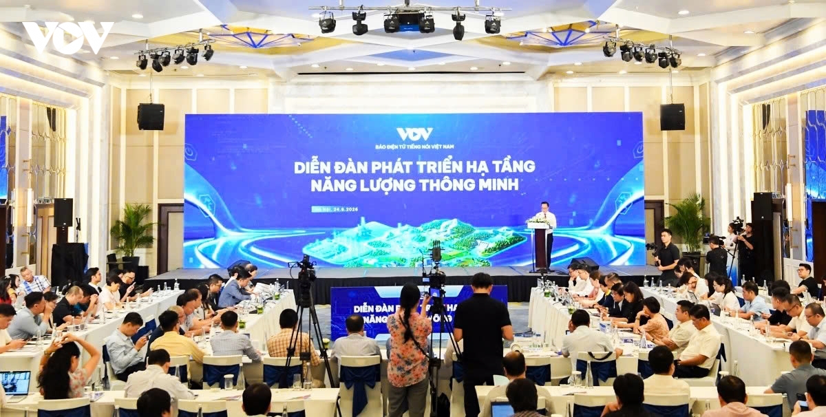 smart energy infrastructure key to vietnam s green growth, digital transformation picture 4