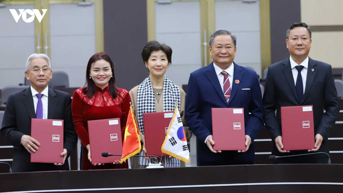 loi giai cho dao tao nguon nhan luc ai va ban dan tai viet nam hinh anh 3