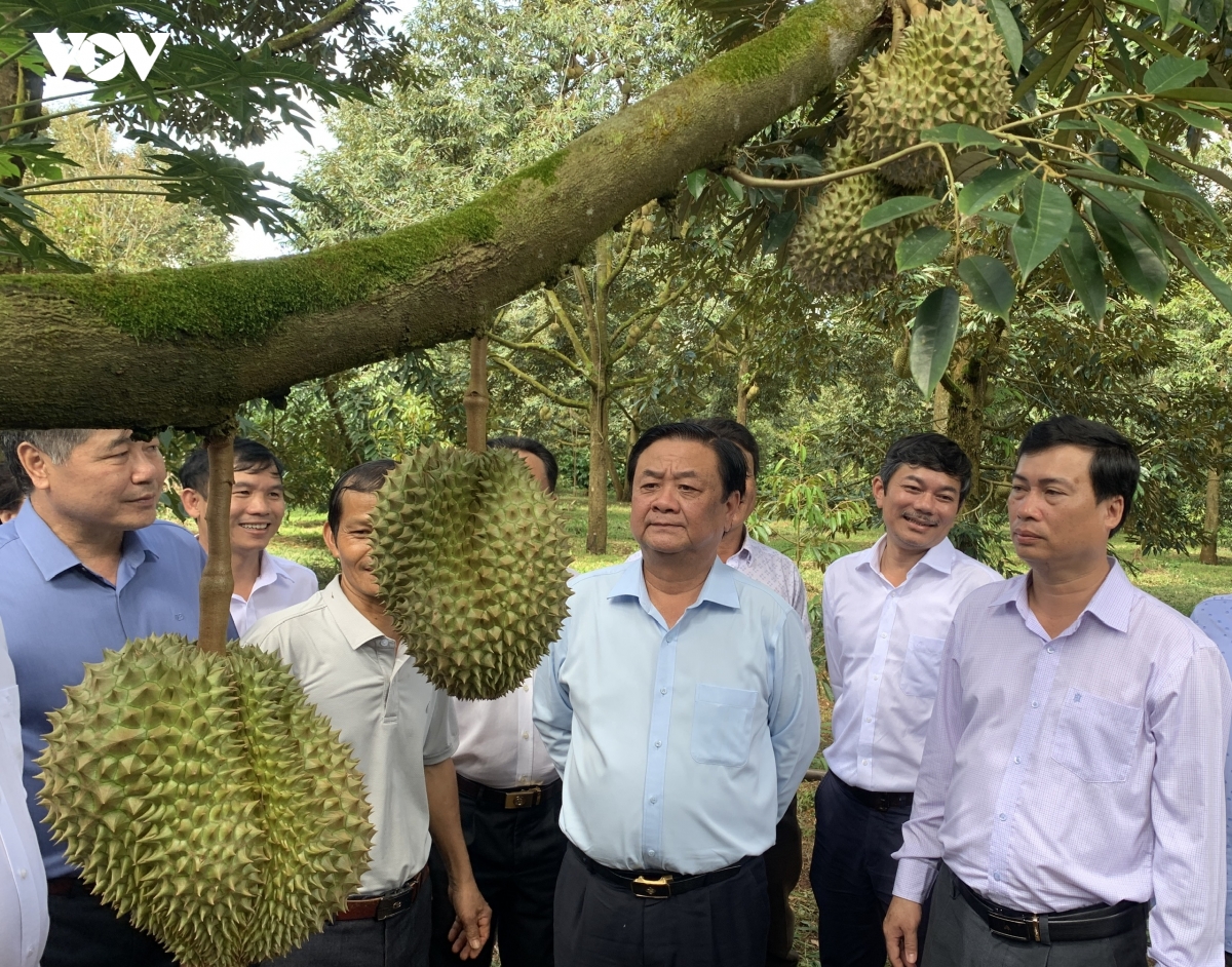 Dinh hinh tam nhin moi, khat vong moi cho Dak lak hinh anh 4