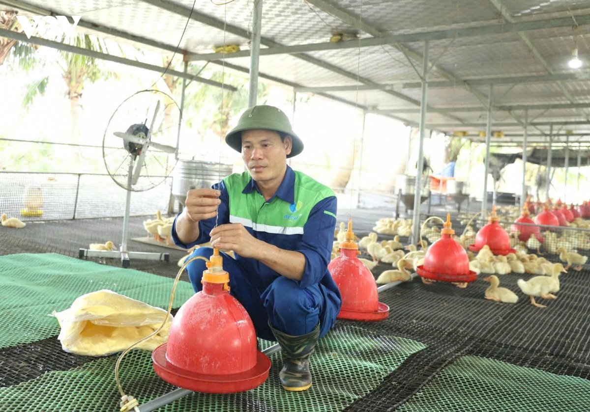 Day manh chuyen doi so, nong dan hai phong dua nong san vuon tam quoc te hinh anh 1