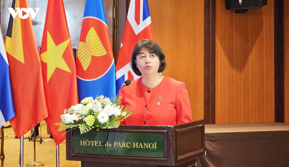 viet nam thuc day hop tac asean - new zealand va asean - anh hinh anh 6