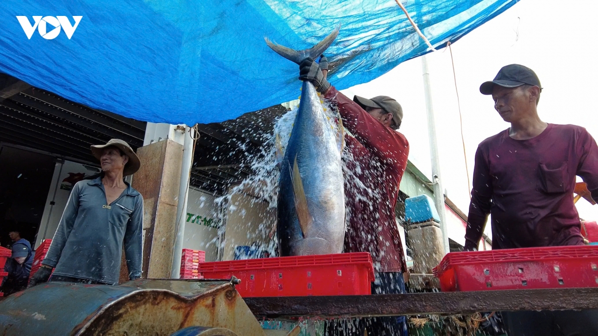 bien phong gia lai dong hanh cung ngu dan chung tay go the vang iuu hinh anh 3