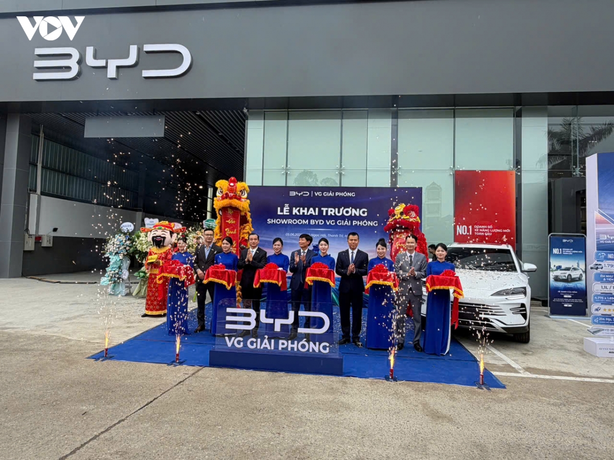 byd viet nam xac nhan cac xe phev tuong thich xang e10 hinh anh 3
