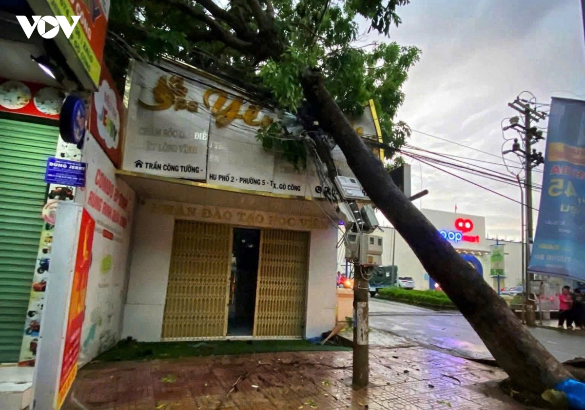 giong loc o Dong thap gay thiet hai 46 can nha, mot nguoi tu vong hinh anh 3
