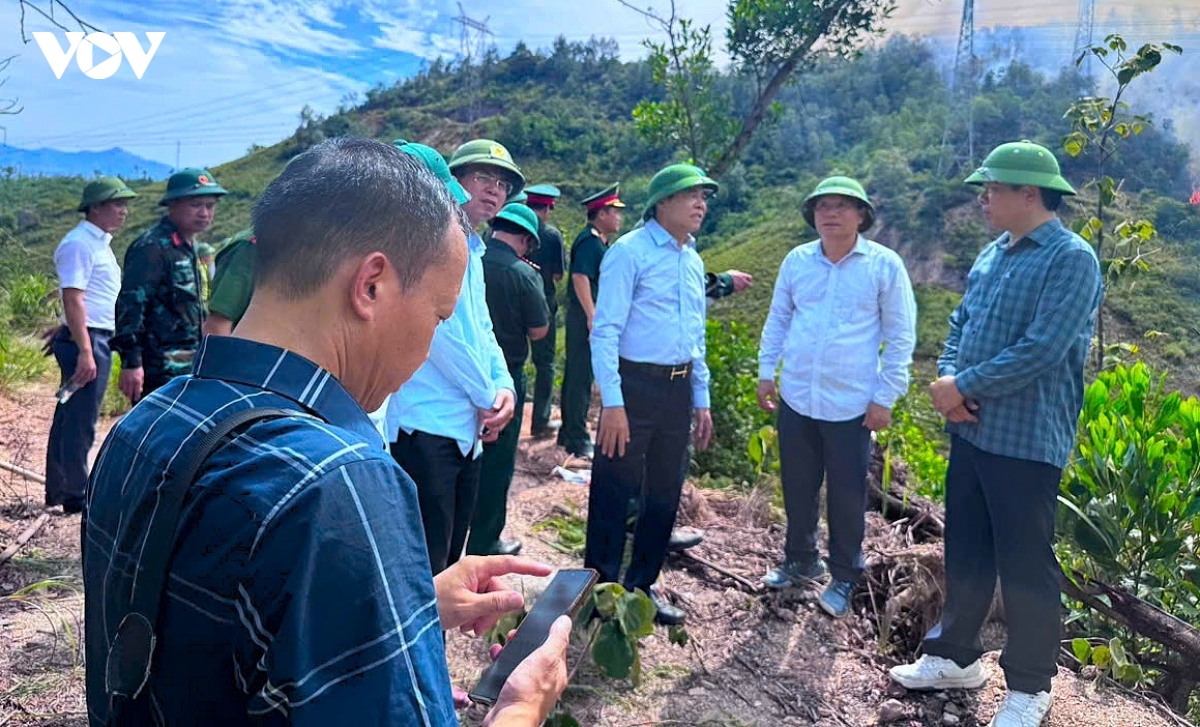 gan 1.000 nguoi xuyen ngay dem, cang minh khong che chay rung o nghe an hinh anh 2