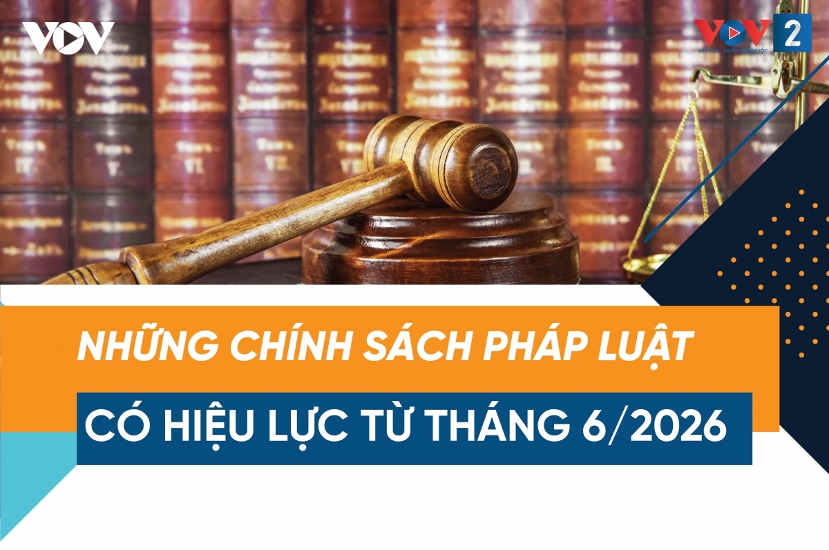 Quy định mới về xăng E10 và loạt chính sách pháp luật khác hiệu lực từ 6/2026