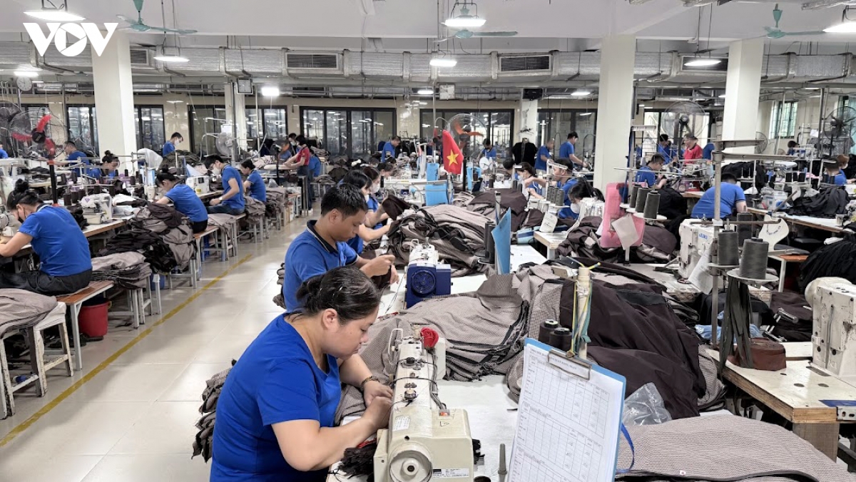 gian lan xuat xu tac dong tieu cuc den xuat khau vao thi truong eu hinh anh 2