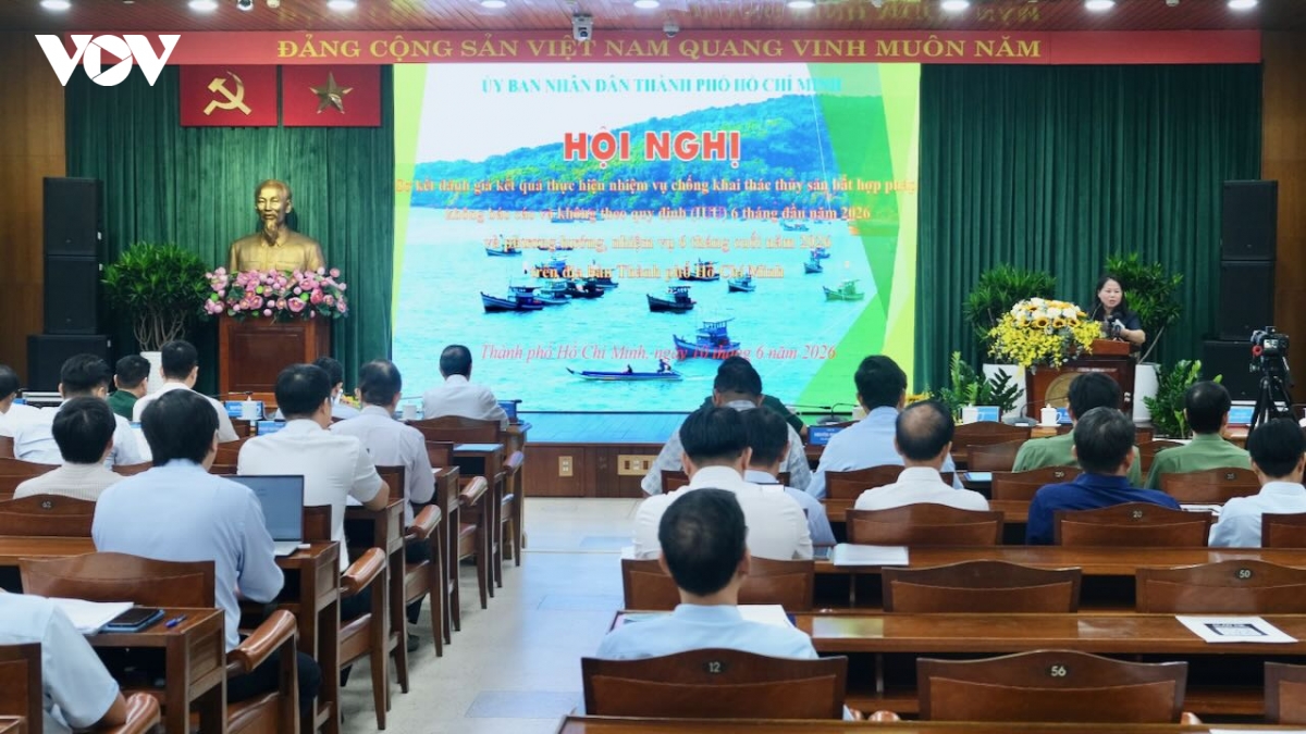 go the vang iuu, tp.hcm tinh phuong an phat tai cho tau ca vi pham hinh anh 1