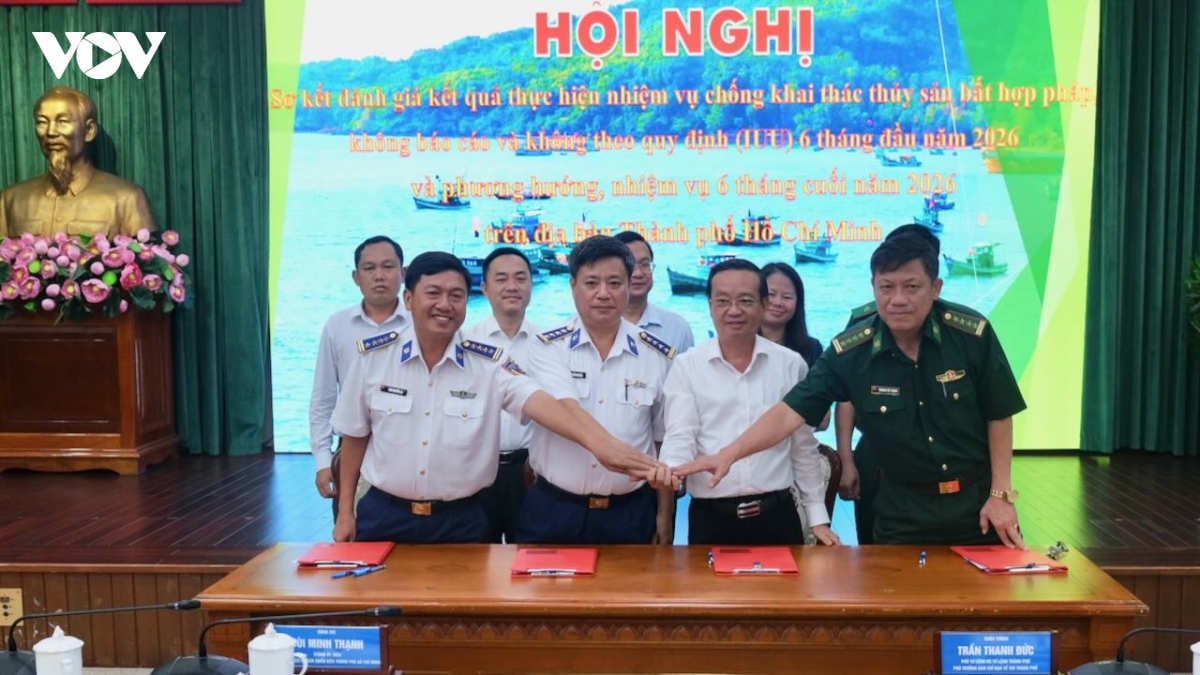 go the vang iuu, tp.hcm tinh phuong an phat tai cho tau ca vi pham hinh anh 2