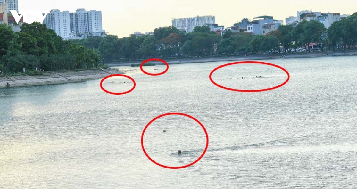 vua xay ra duoi nuoc thuong tam, nguoi dan van do ra ho linh Dam boi loi hinh anh 6