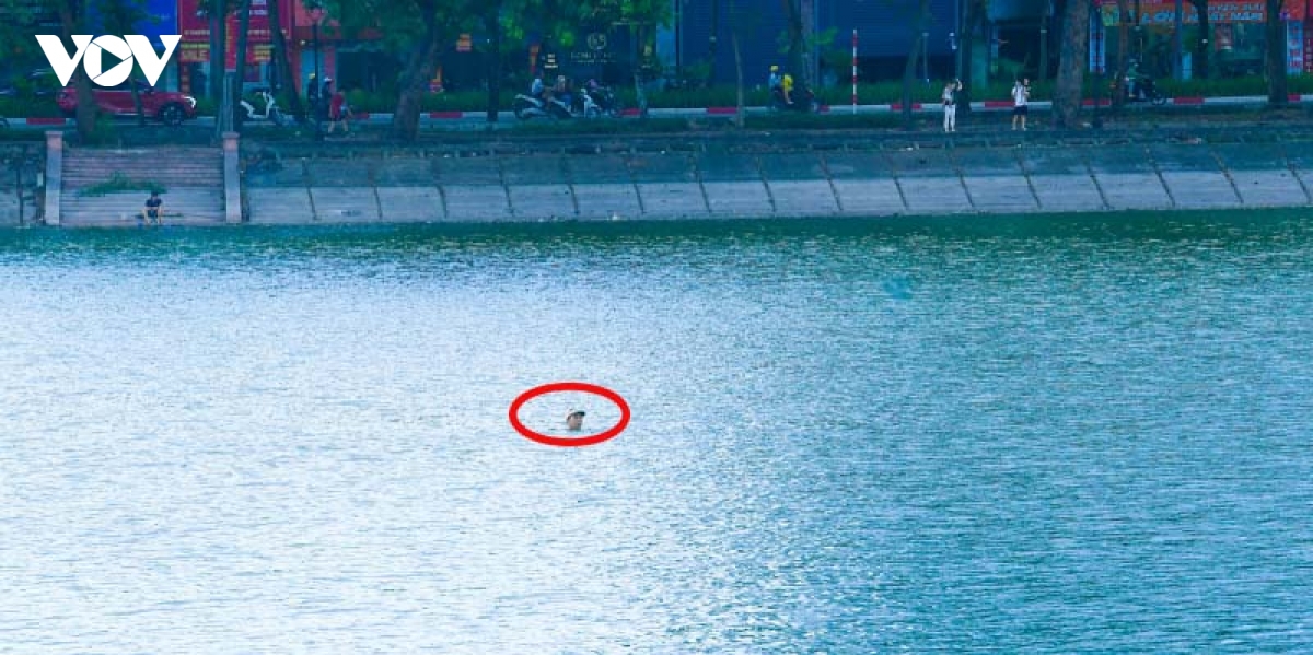 vua xay ra duoi nuoc thuong tam, nguoi dan van do ra ho linh Dam boi loi hinh anh 9
