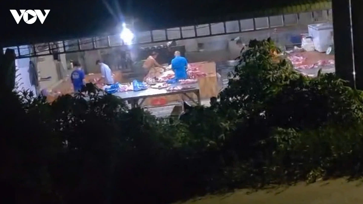 xu ly 4 co so giet mo dong vat trai phep tai Dong thap hinh anh 1