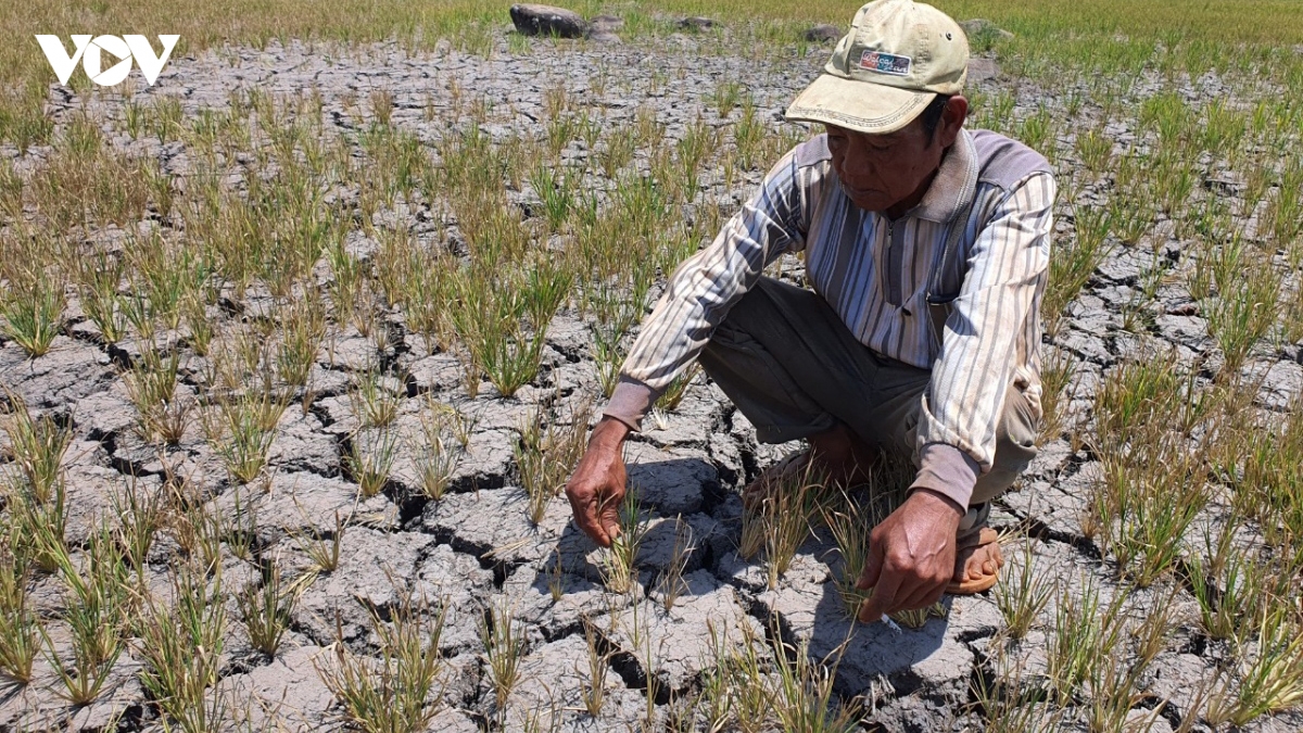 gs.ts tran thuc moi dia phuong can mot kich ban el nino rieng hinh anh 2