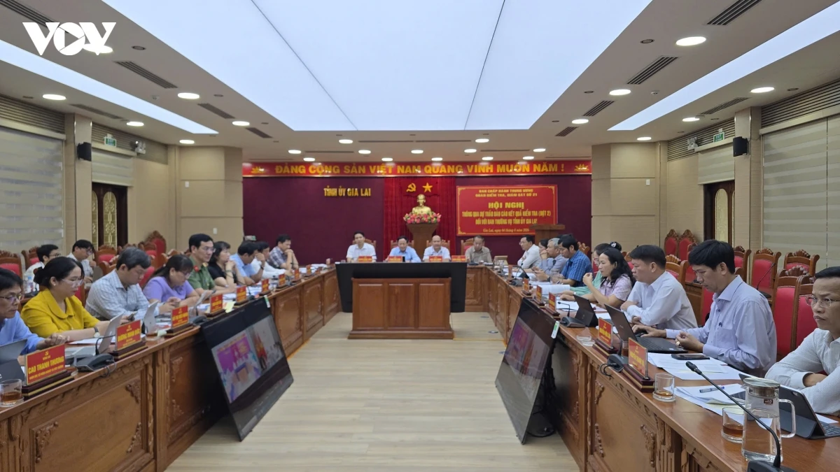 Doan kiem tra cua bo chinh tri thong qua du thao bao cao kiem tra doi voi gia lai hinh anh 1