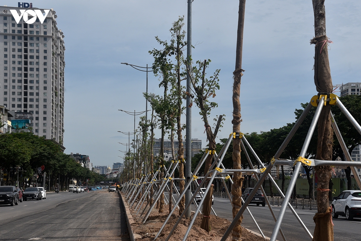 hoan_tra_mat_duong_11.jpg