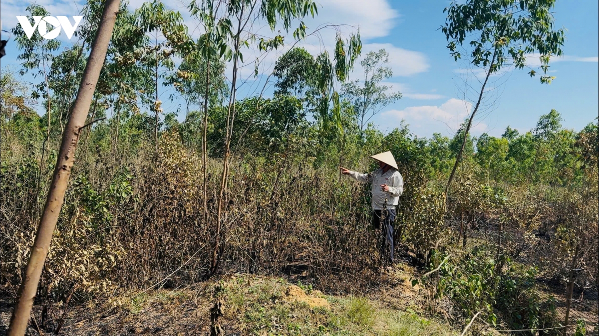 can lam ro dau hieu vi pham phap luat trong linh vuc dat dai tai phu tho hinh anh 2
