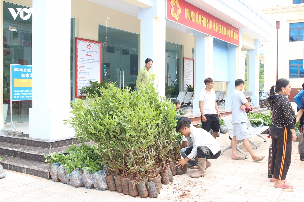trao tang cay giong ca phe, mac ca cho nguoi dan vung cao Dien bien hinh anh 2